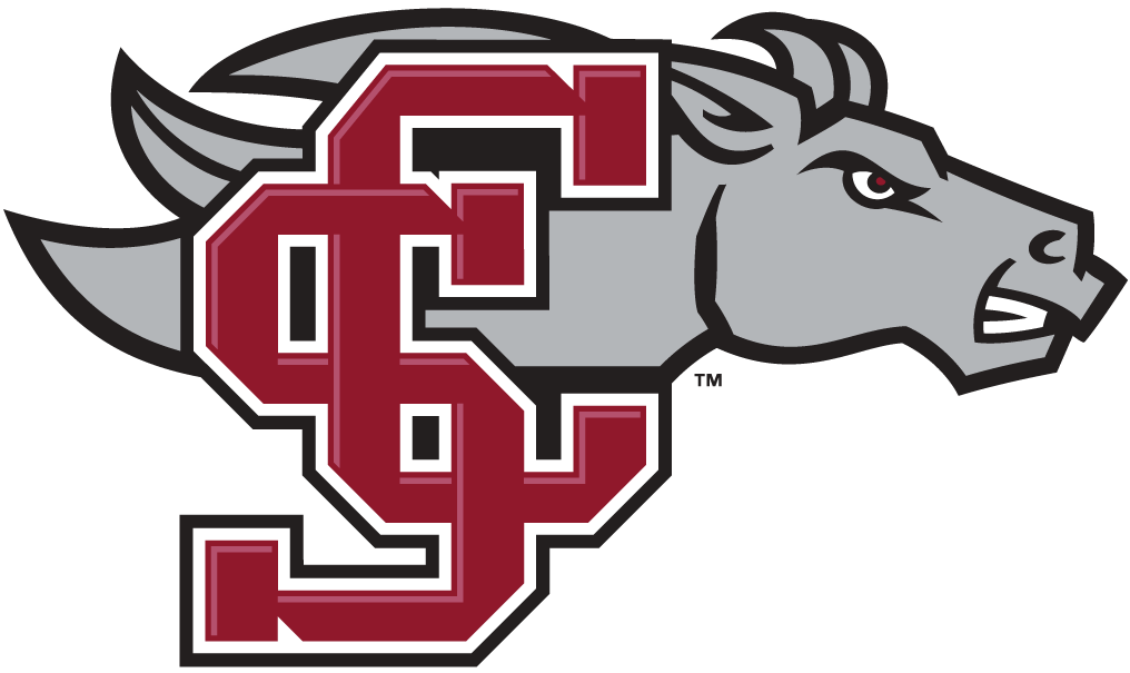 Santa Clara Broncos 1998-Pres Secondary Logo diy iron on heat transfer